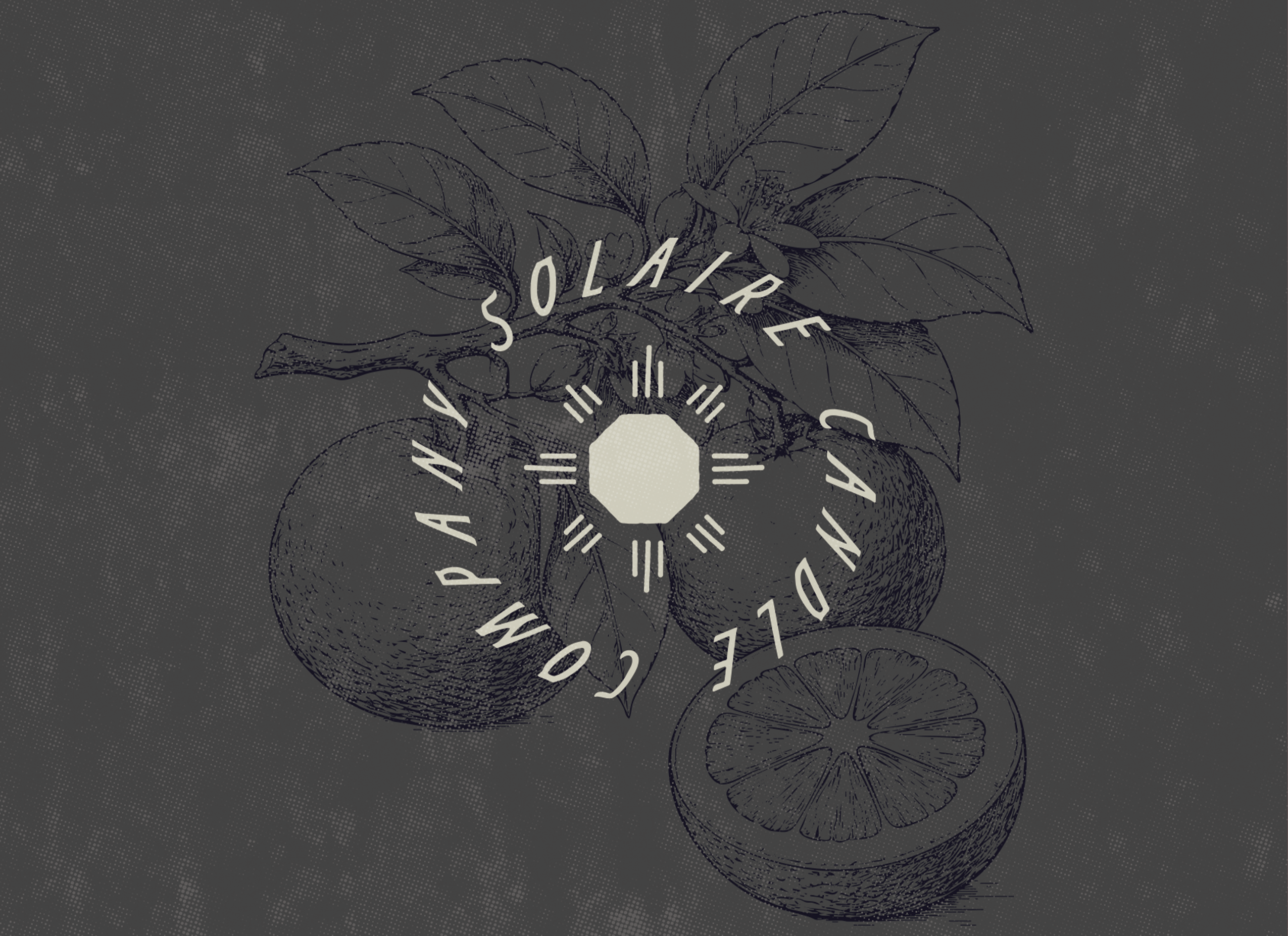 Solaire Design Project